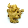 well selected b ginger export