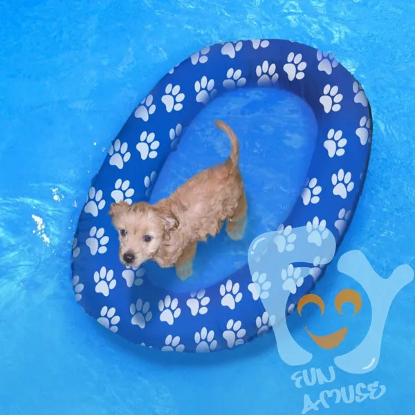 pool float balloon dog