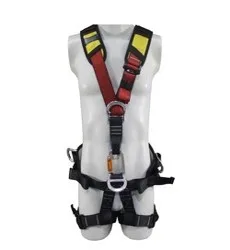full body harness.jpg