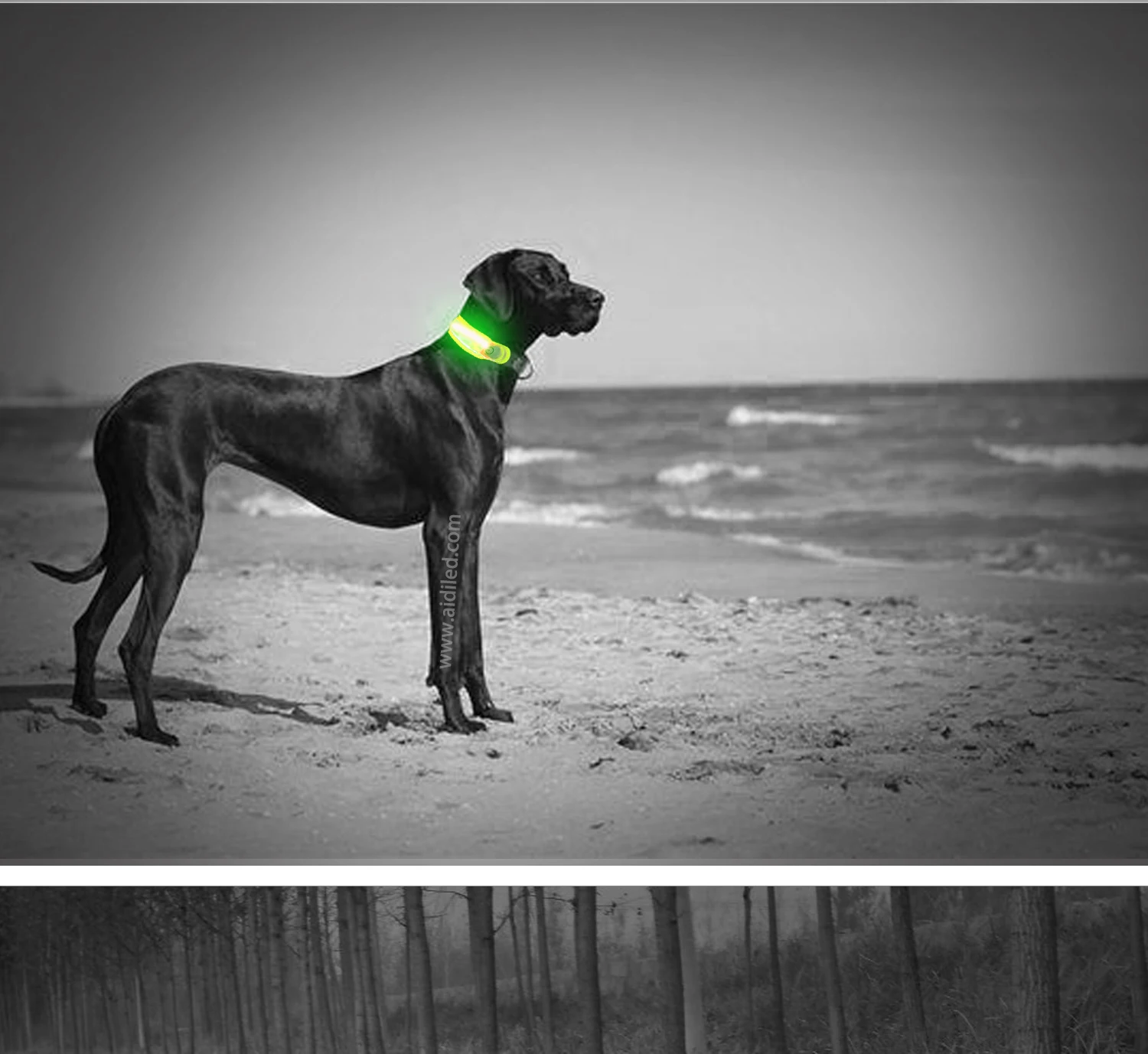 Cheap Night Reflective Safety Pet Training LED Dog Collar