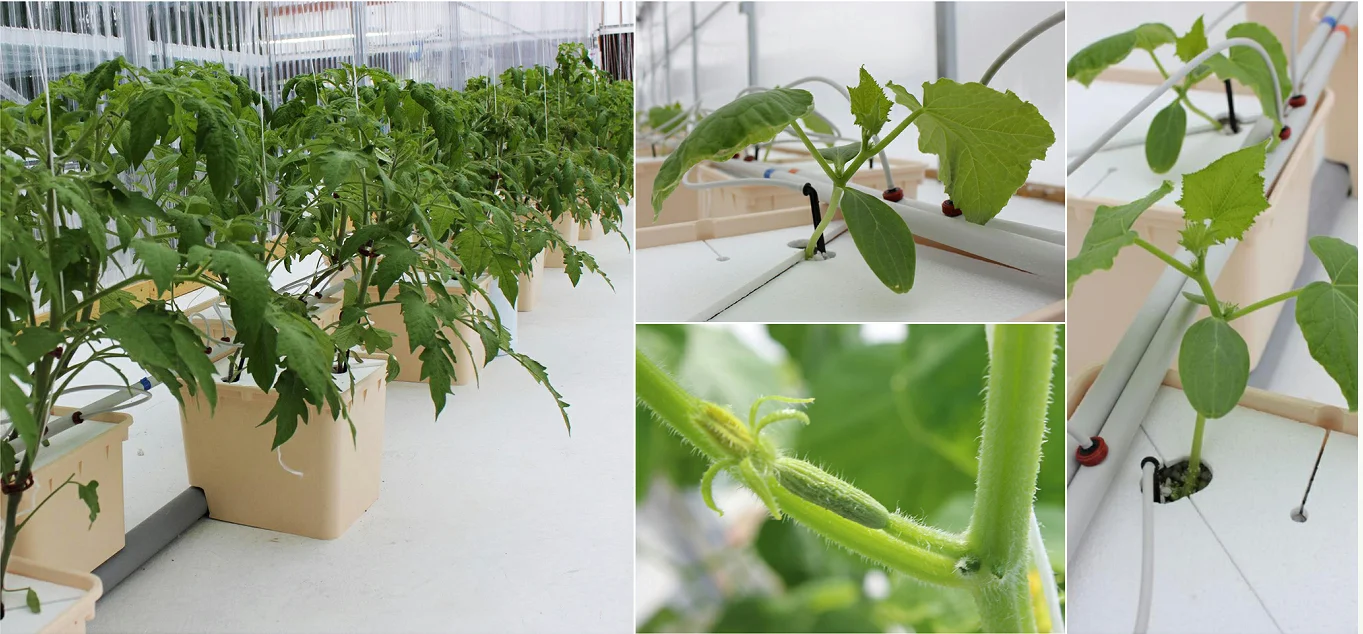30X25X23cm plastic hydroponic bucket grow trough dutch buckets