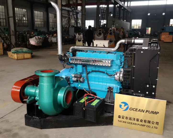 Pond Dredge Pump