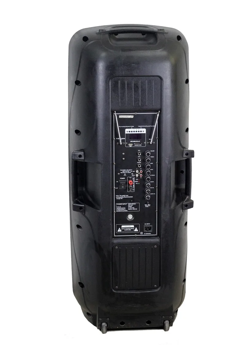 Double 15'' Subwoofer Bluetooth Portable Party Speaker with Reactive Lights USB SD Input FM Radio - ANKUX.COM