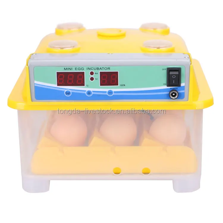 best incubator for parrot eggs