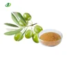Oleuropein / Olive Leaf extract powder/oleanolic acid