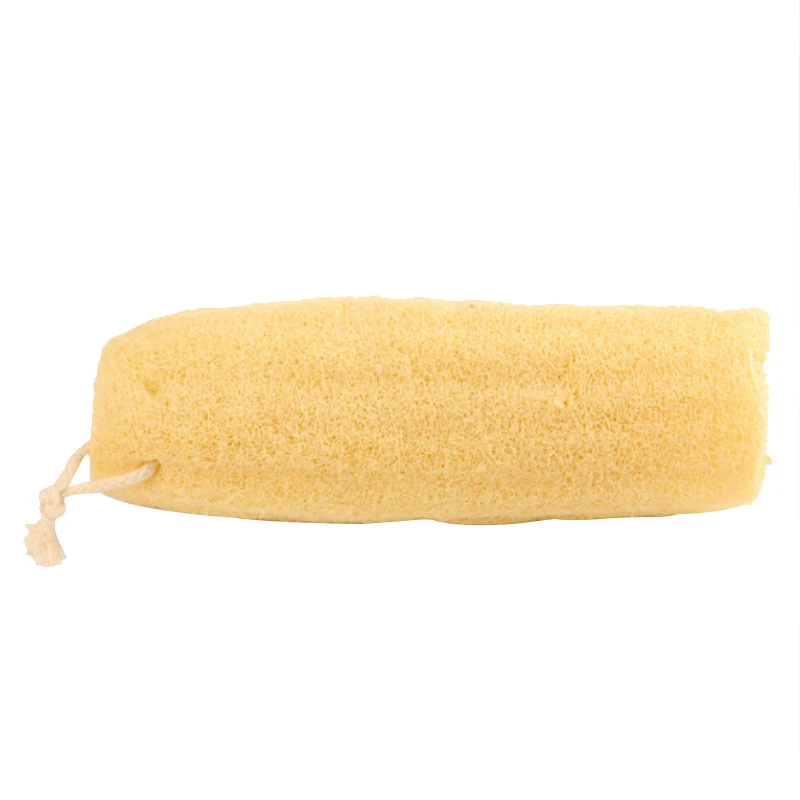 loofah sponge (5).jpg
