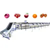 PLC Vegetable and Fruit Sorting Machine