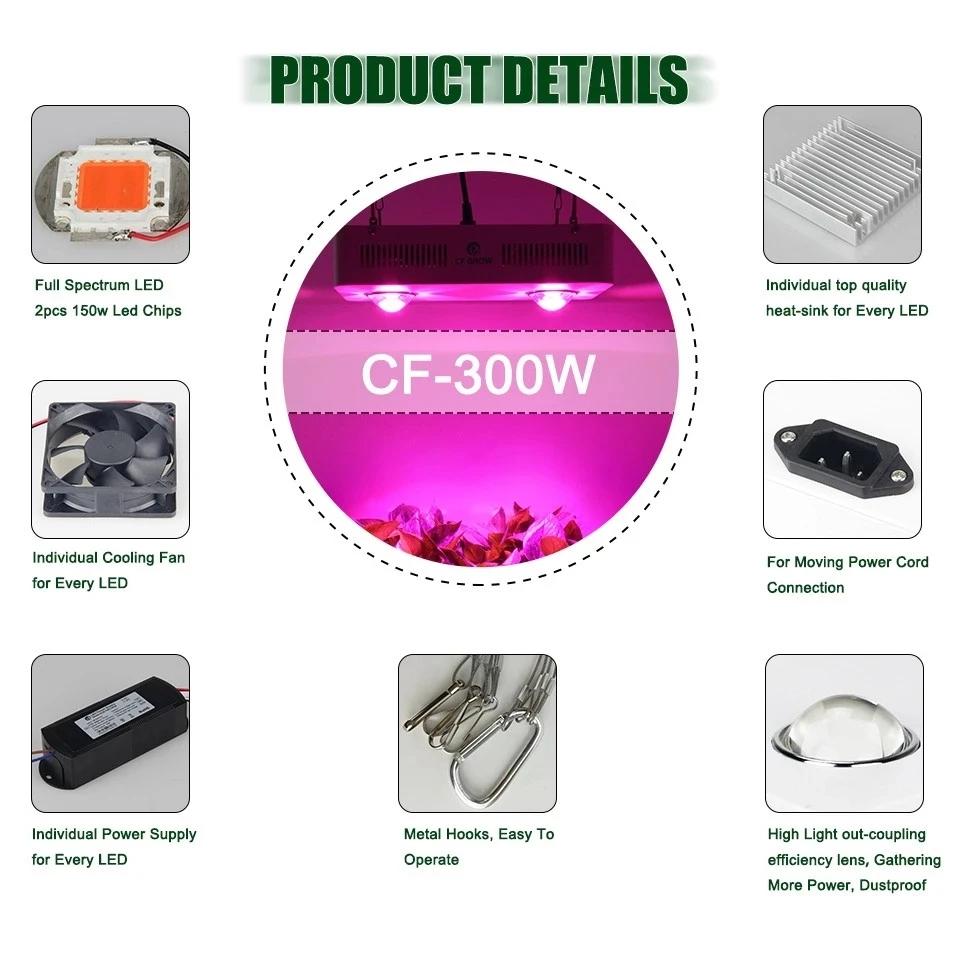 CF-300W-04.webp.jpg