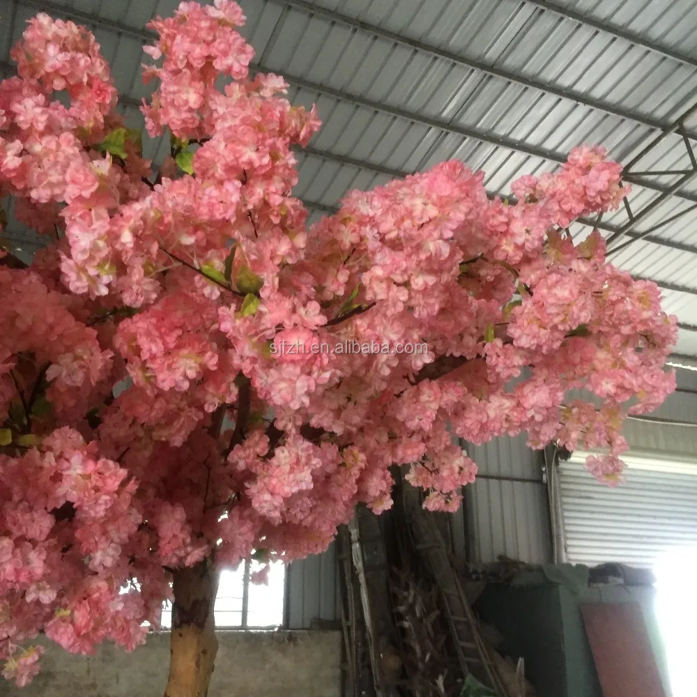 cherry flower tree (4).JPG