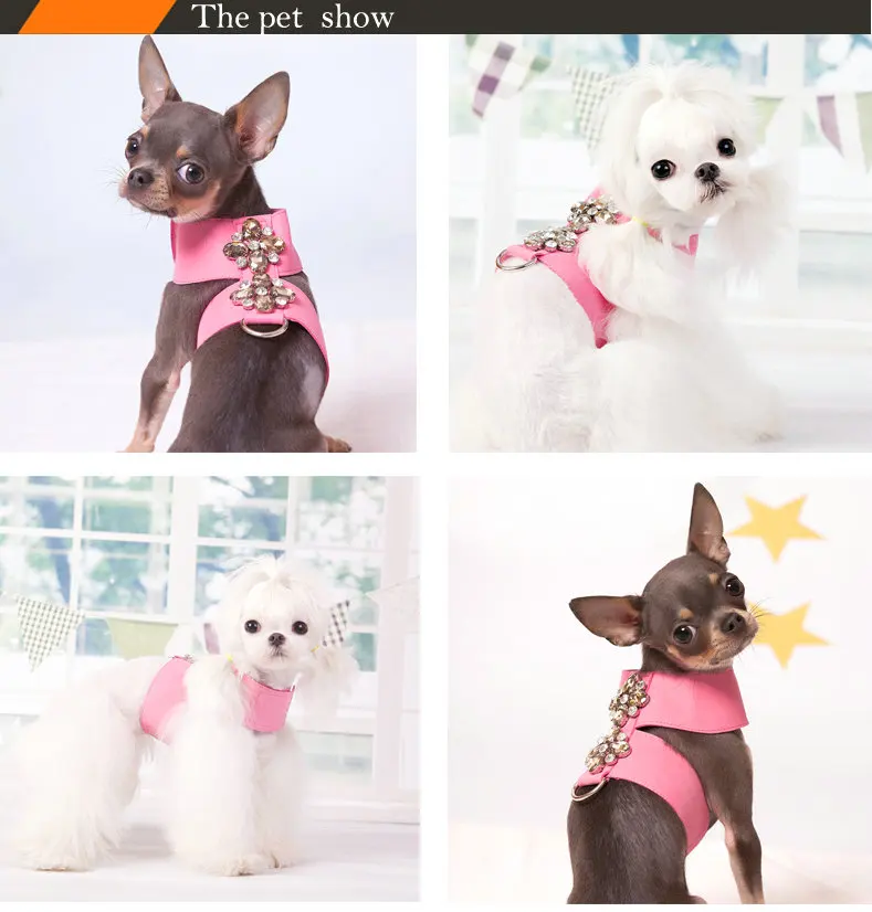 Small Kitten Cat Teddy dog accessories Soft Suede Fabric Fashion jewels puppy Dog Harness with leash set