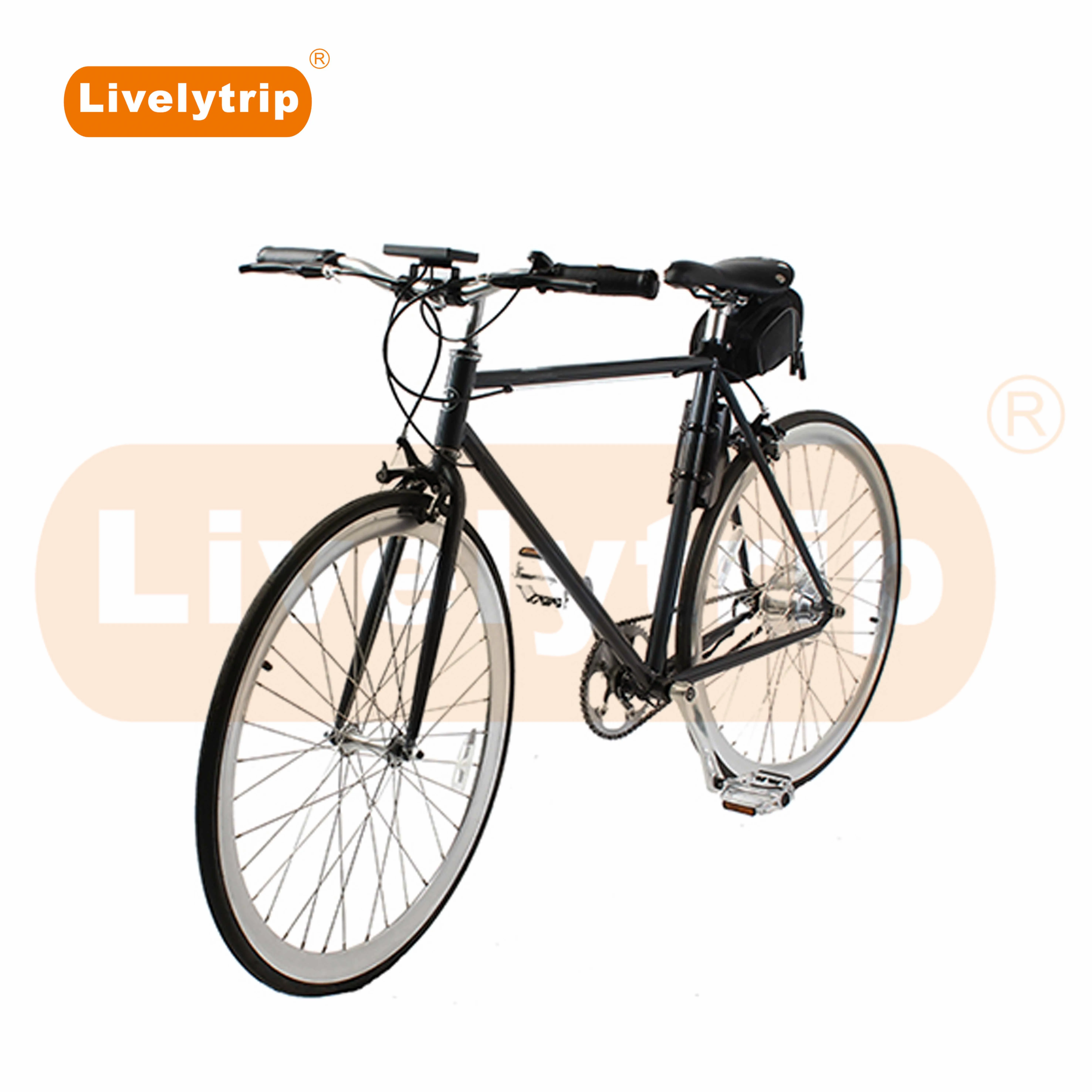 Cheap Price Retro Electric Fixed Gear Bicycle Vintage Ebike For Sale