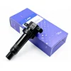 Electronic Auto Spare Parts Car Eldor Racing 273012B010 Ignition Coil