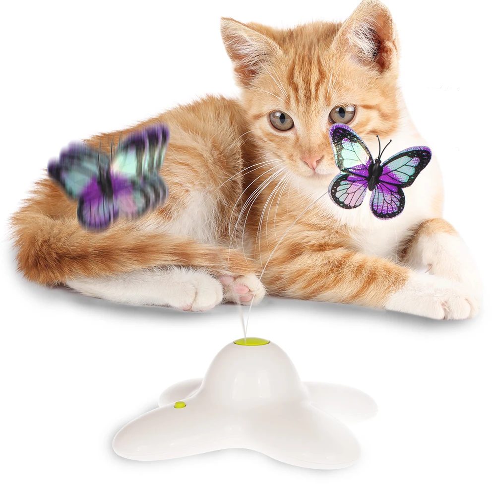 interactive butterfly cat toy