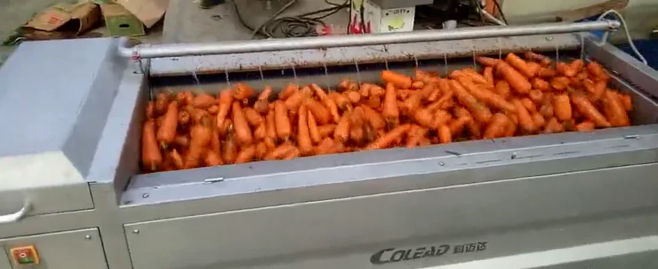industrial carrot peeler industrial carrot peeler