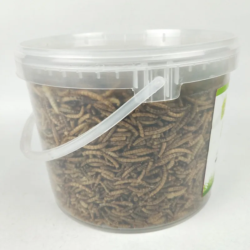 400g Dried Mealworms In Tube Pet Food Buy Mealworms Dried,Dried