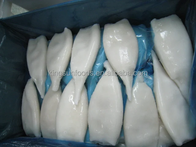 Фото - Схематическое строение кальмара - фотография, картинка