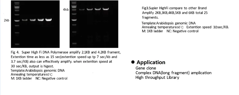 shenzhen tinzyme gene tech co limited alibaba