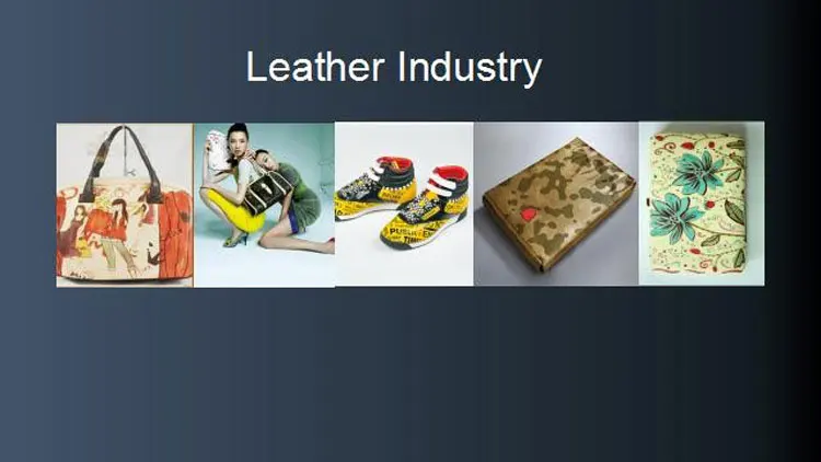 application field(1).jpg