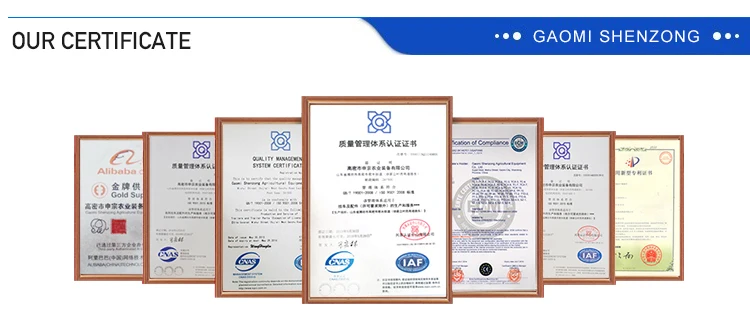 certificate 2.jpg