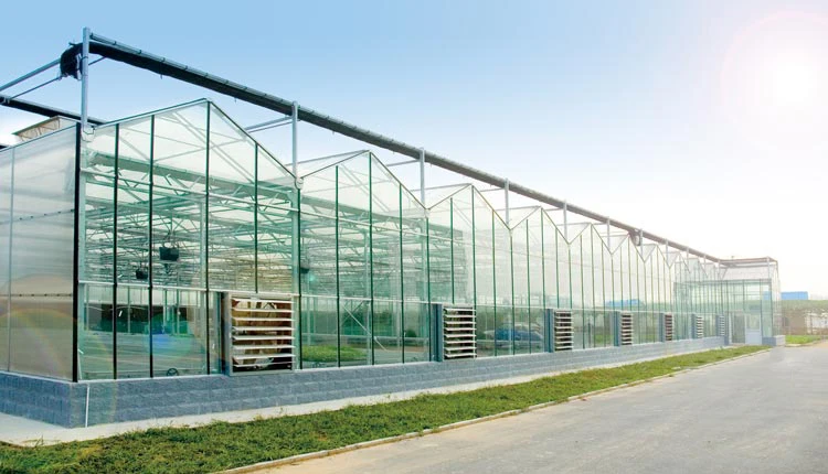skyplant venlo型玻璃温室农业玻璃温室室内玻璃温室