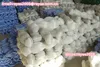 nylon fishing the nets price Monofilament multifilament machine for knitting fishing nets machine for weaving fishing nets