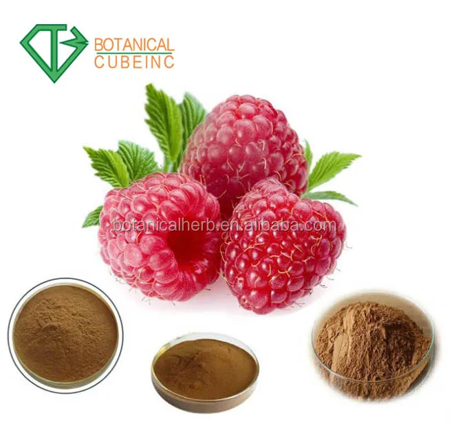 Raspberry Extract Powder Natural Fruit And Plant Extract For Organic