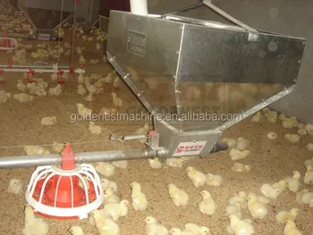 Goldenest Commercial Poultry Feeder Equipment For Sale Automatic