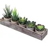 /product-detail/5-mini-faux-succulent-aloe-potted-plants-arrangements-decorative-assorted-potted-tropical-succulents-cactus-artificial-plants-60851334435.html