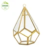 Handmade glass terrarium with succulents /Macrame { Hanging Glass Terrarium Set } wholesale geometric clear glass vase selection