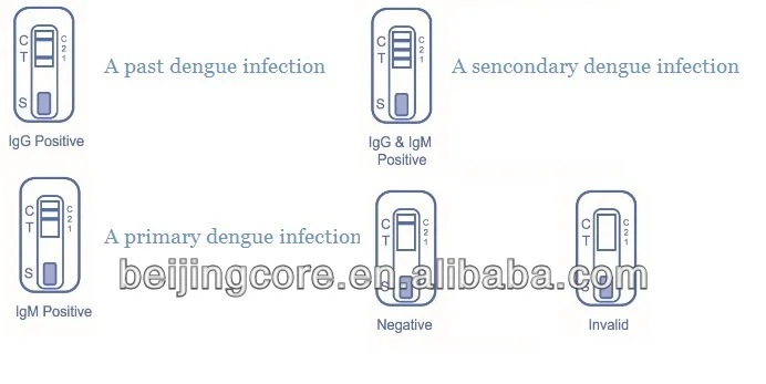 Dengue Rapid Test Kit For Home Use Dengue Igg Igm Ns Colloidal Gold Buy Dengue Test Kit