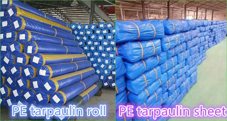 China Factory Good Quality Custom PVC PE Tarpaulin Roll for Truck Car Roof