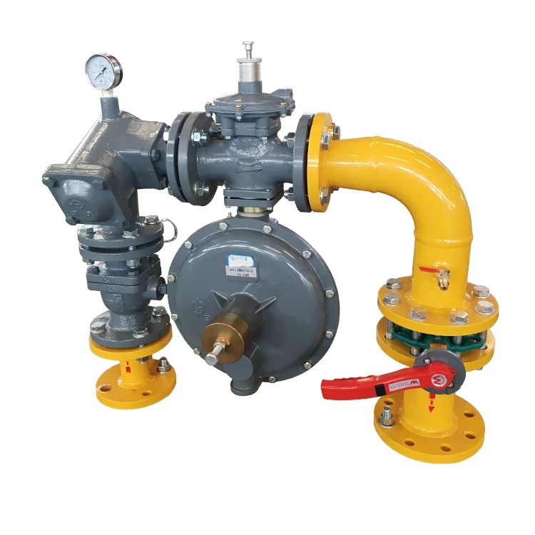 Factory Manufacture Professional Lpg Gas Cylinder Regulator With Meter