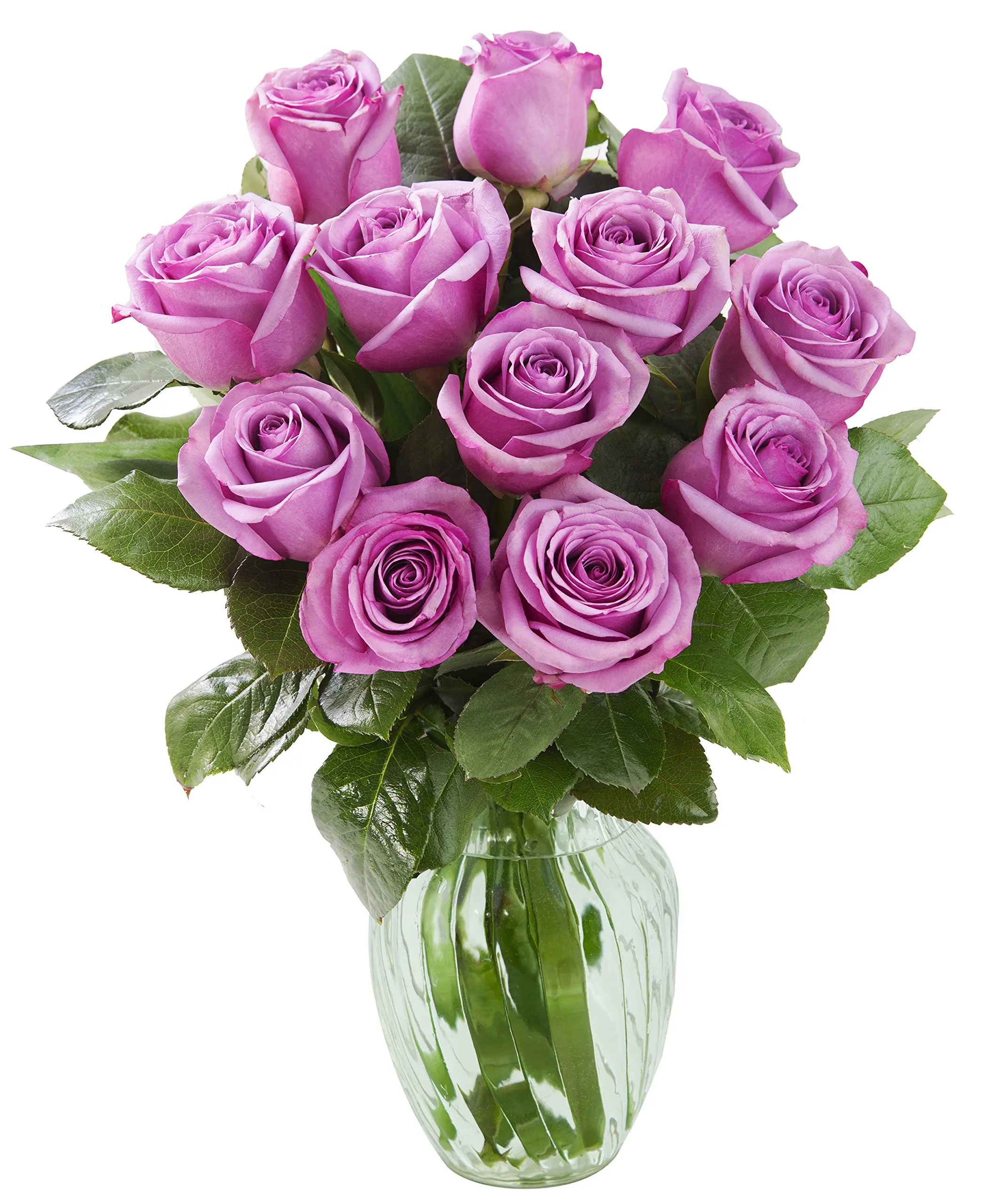 Cheap Purple Roses Delivery, find Purple Roses Delivery deals on line
