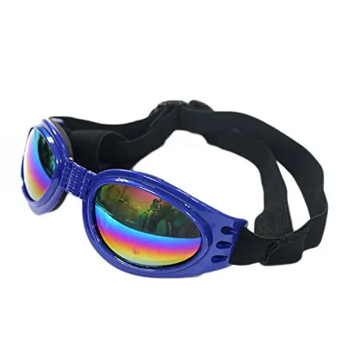 Dog Sunglasses-1.jpg