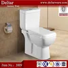 wholesale ceramic sanitary ware, bathroom toilet design types wc toilet, water ridge one piece dual flush toilet