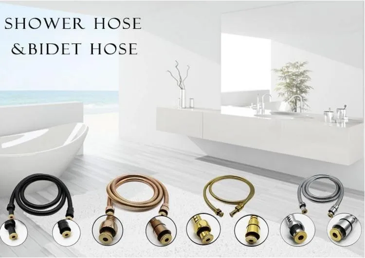 Ss Stainless Steel Material Bathroom Kitchen Faucet Hose Replacement