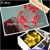 heart shaped led patio string lights