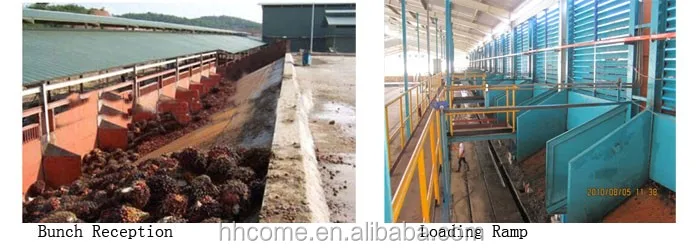 palm oil bunch.jpg