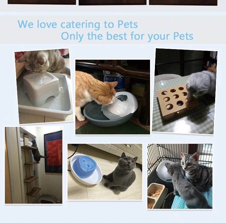 China Pet Supplies Pet Water Fountain 60oz / Pet Feeder For Dogs Buy