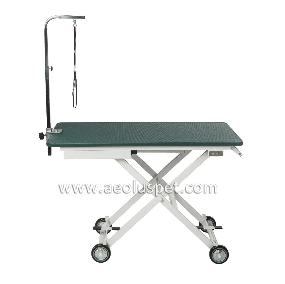 Ft833e Great Mobility Electric Lifting Pet Grooming Caster Dog Table