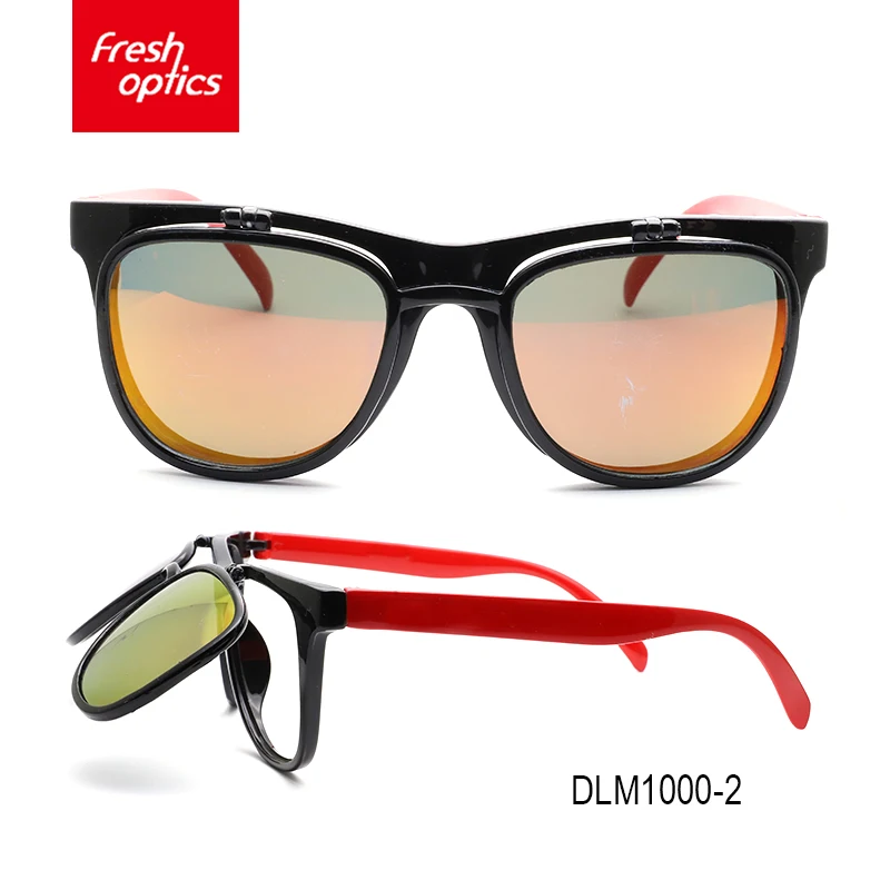 DLM1000-2.jpg