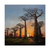 Hot selling knife abstract sunset tree oil painting on canvas African art