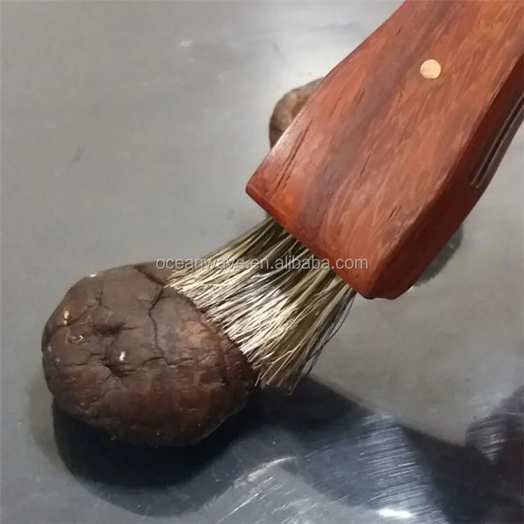 mushroom knife with wooden handle
