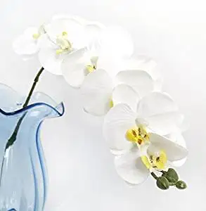 Calcifer 12 Heads Artificial Real Touch Latex Phalaenopsis Orchid Stem Bouquets Artificial Flowers for Wedding Party Home Garden Decor (10 Pcs, White)