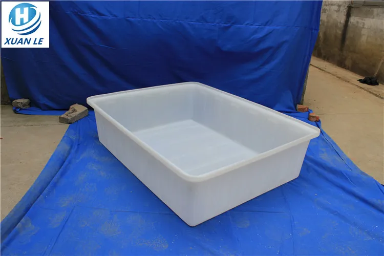 betta fish tank