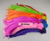 Factory cheap sale Blenched rooster feather tail feather rooster tail feather