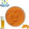 High quality long duration time turmeric root extract 10% 95% 98% curcumin