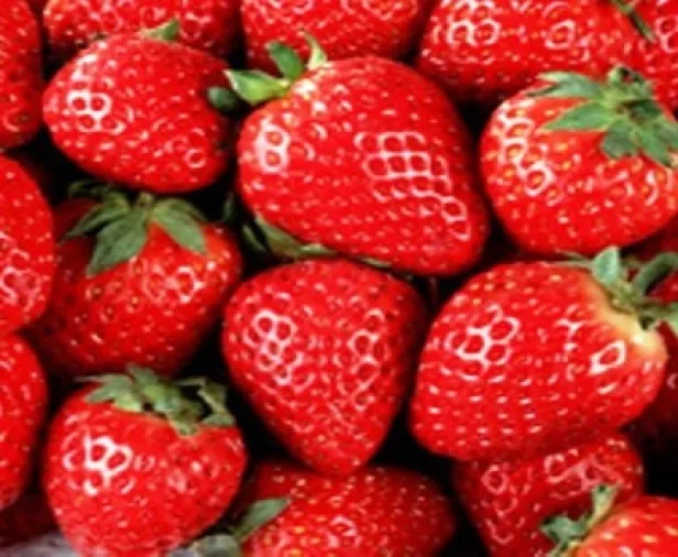 Fresh Strawberry_04