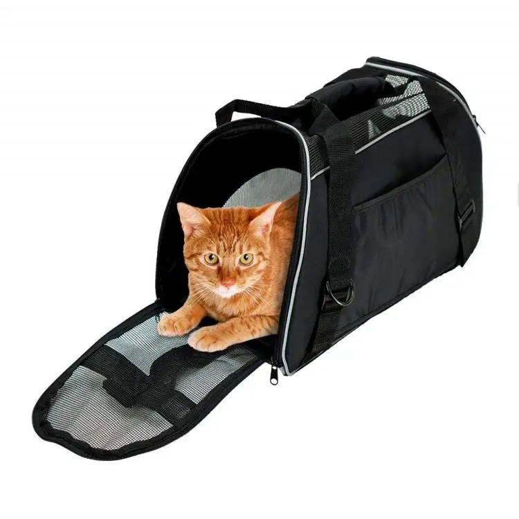small dog travel carrier