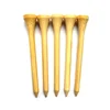 /product-detail/70mm-42mm-54mm-35mm-73mm-white-cheap-price-bulk-golf-nails-custom-logo-short-wooden-bamboo-golf-tees-62188431108.html